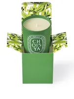 Choisya Candle - Limited Edition