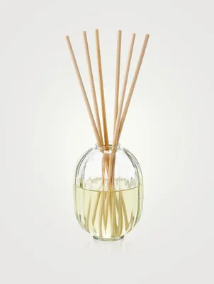 Figuier (Fig) Fragrance Reed Diffuser