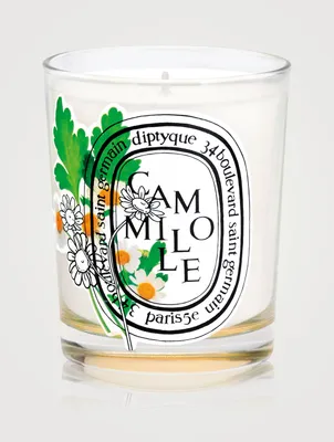 Camomille Candle - Limited Edition