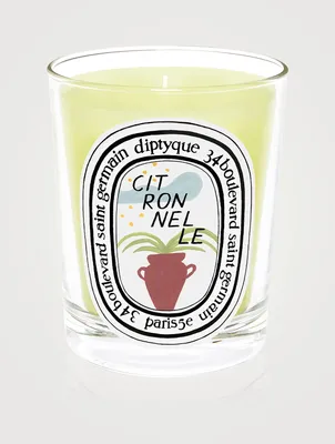 Citronnelle Scented Candle - Limited Edition