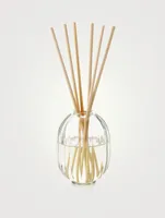 Mimosa Fragrance Reed Diffuser