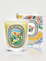 Citronnelle (Lemongrass) Classic Candle