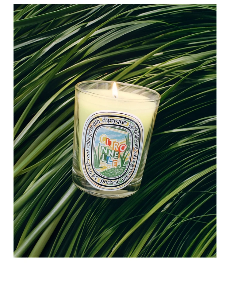 Citronnelle (Lemongrass) Classic Candle