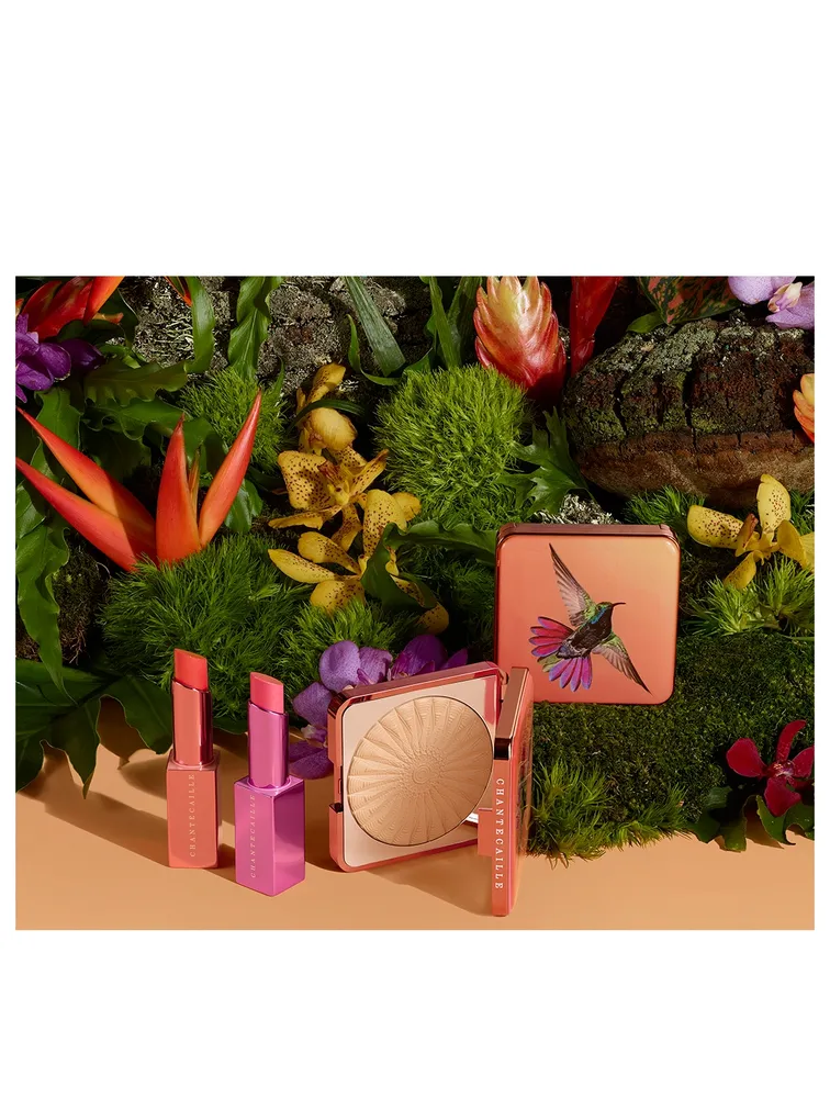 Lip Chic - Hummingbird Limited Edition