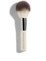 Face Brush
