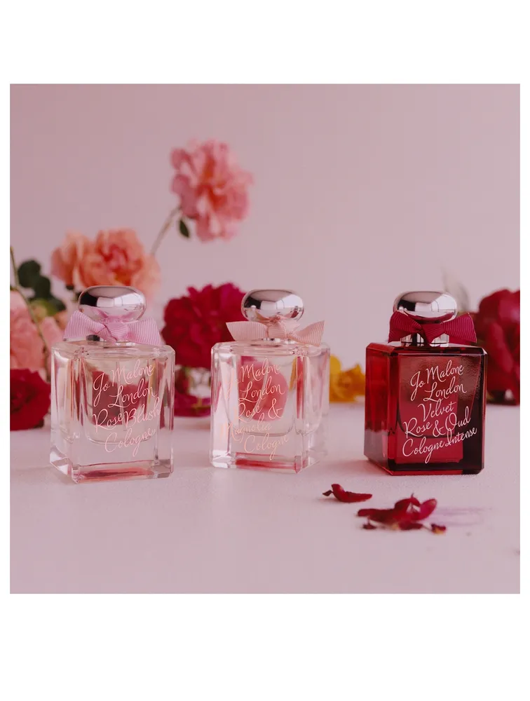 Velvet Rose & Oud Cologne Intense