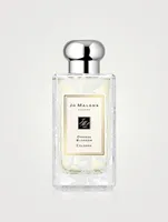 Orange Blossom Cologne with Daisy Leaf Lace Design