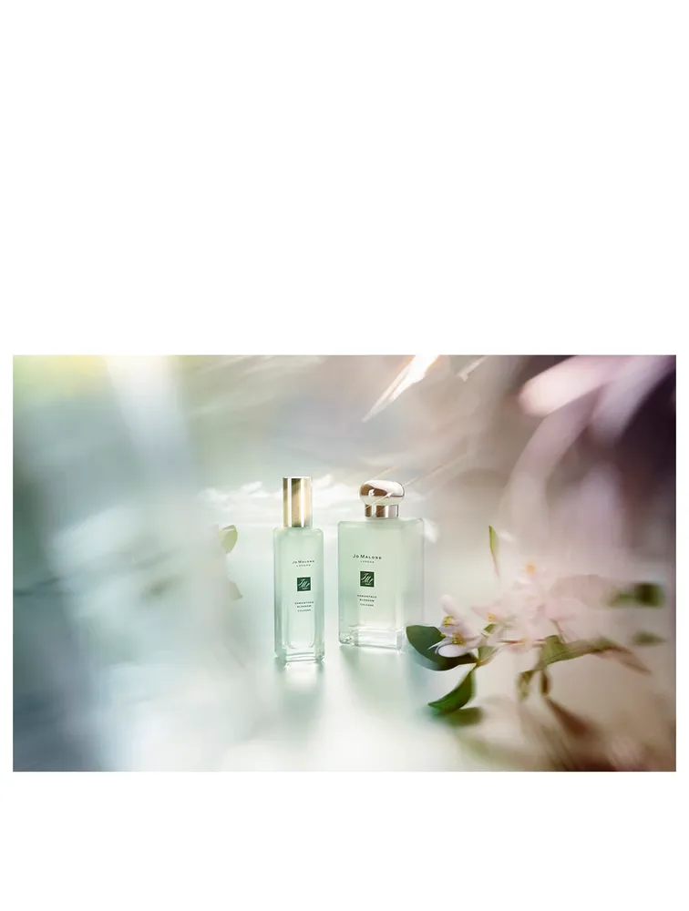 Osmanthus Blossom Cologne