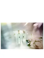 Osmanthus Blossom Cologne