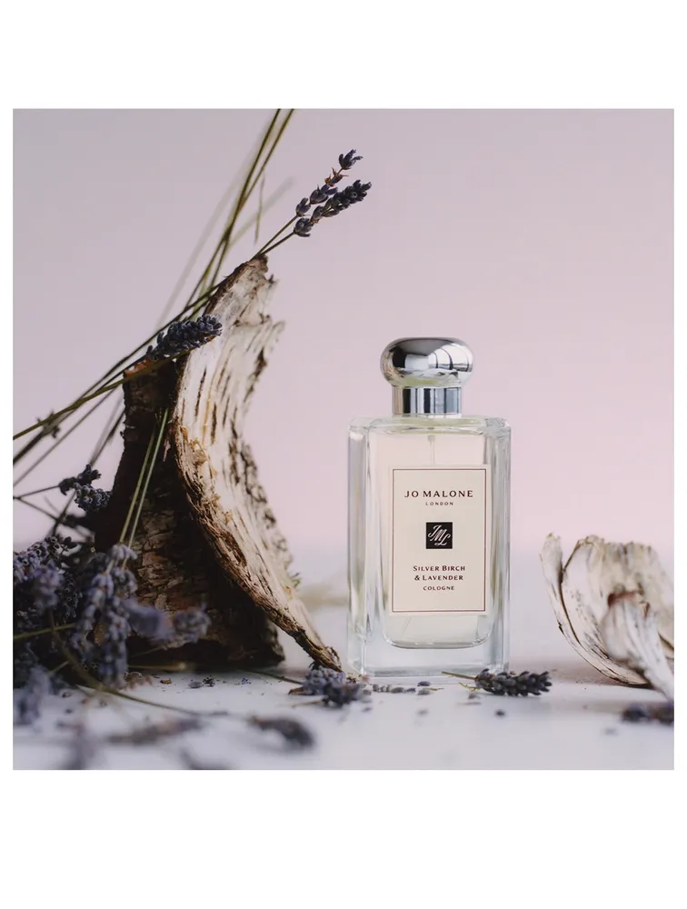 Silver Birch & Lavender Cologne