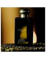 Cypress & Grapevine Cologne Intense
