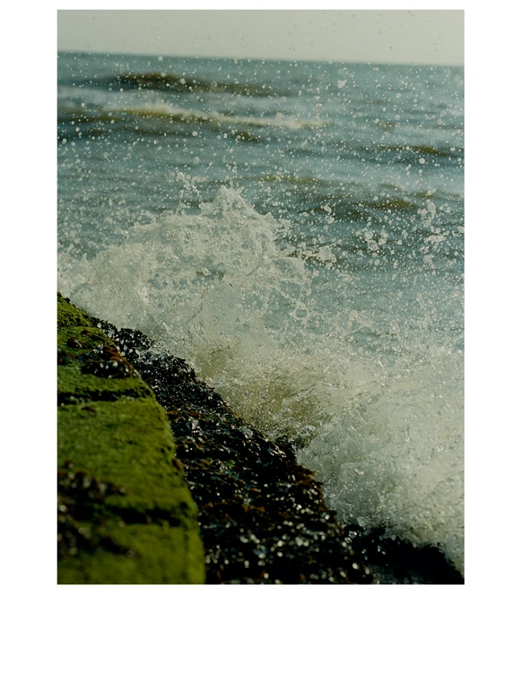 Wood Sage And Sea Salt Travel Collection