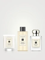 English Pear & Freesia Collection