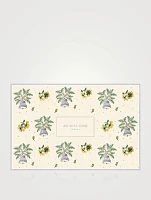 English Pear & Freesia Collection