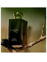 Cypress & Grapevine Cologne Intense Duo Set