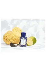 ACQUA DI PARMA BLU MEDITERRANEO BERGAMOTTO DI CALABRIA 6.0 DIFFUSER -  Nandansons International Inc.