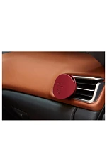 Car Diffuser - Red