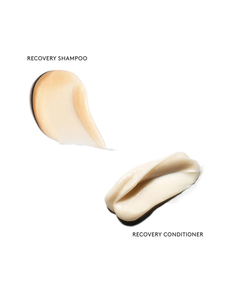 Celebrate Hair Repair: Recovery Pro Size Shampoo & Conditioner Duo