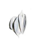 Silverati Illuminating Treatment Masque