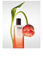 Solo Ella Elixir Eau de Parfum