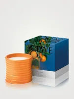 Orange Blossom Candle