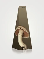 Mushroom Wax Candleholder