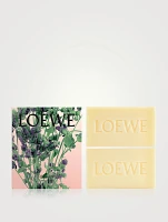 Oregano Small Solid Soap Duo Set