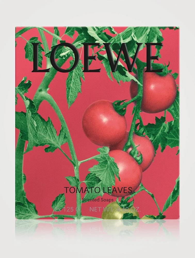 Tomato Leaves Small Solid Soap Duo Set