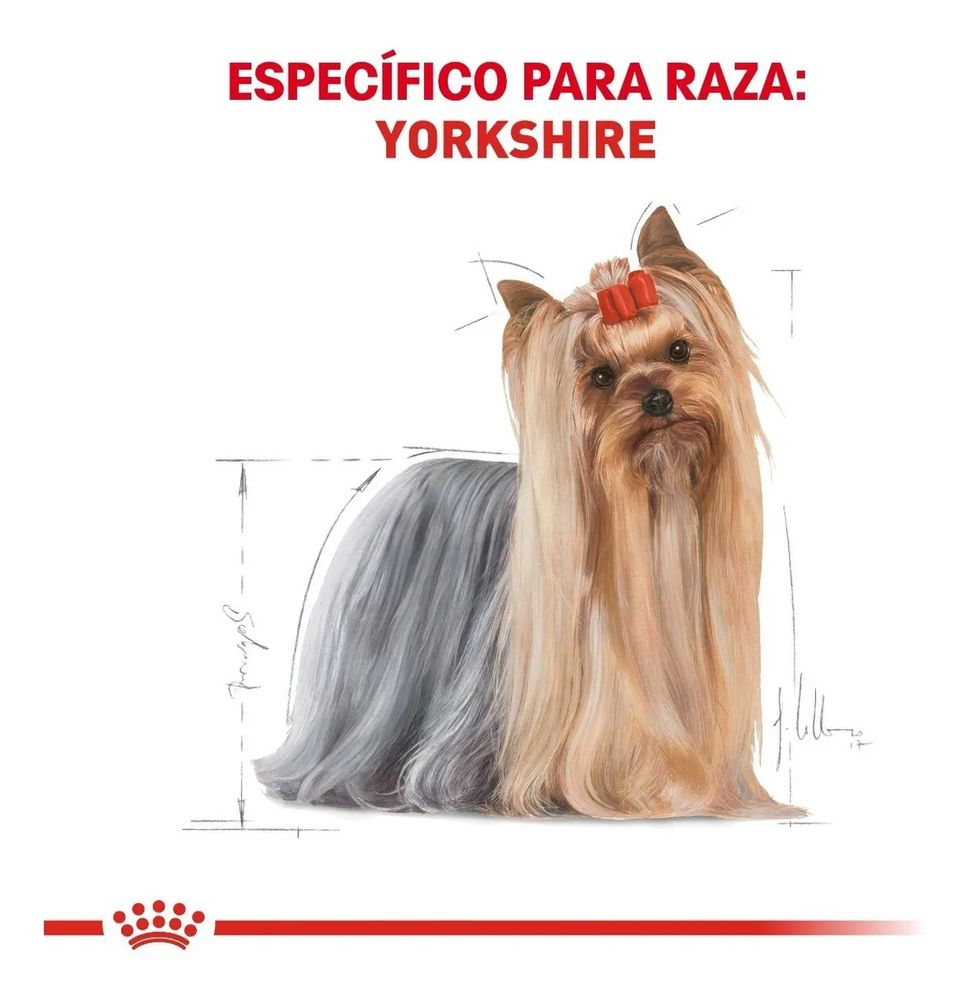 Royal Canin Yorkshire 4.5 Kg Nuevo Original Sellado