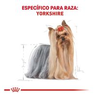 Royal Canin Yorkshire 4.5 Kg Nuevo Original Sellado