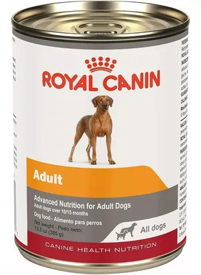 Royal Canin Lata Adulto 385g 