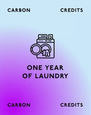 Carbon Credits for One Year of Laundry