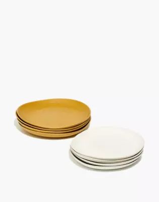 Social Studies Eight-Piece Essential Dinner and Salad Plate Set