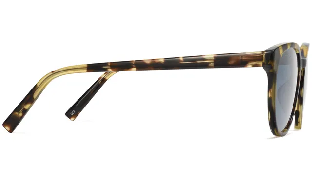 Brimmer Sunglasses in Jet Black with Polished Gold