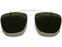 Hayden Clip-On Medium in Polished Gold with Green Lenses | Warby Parker