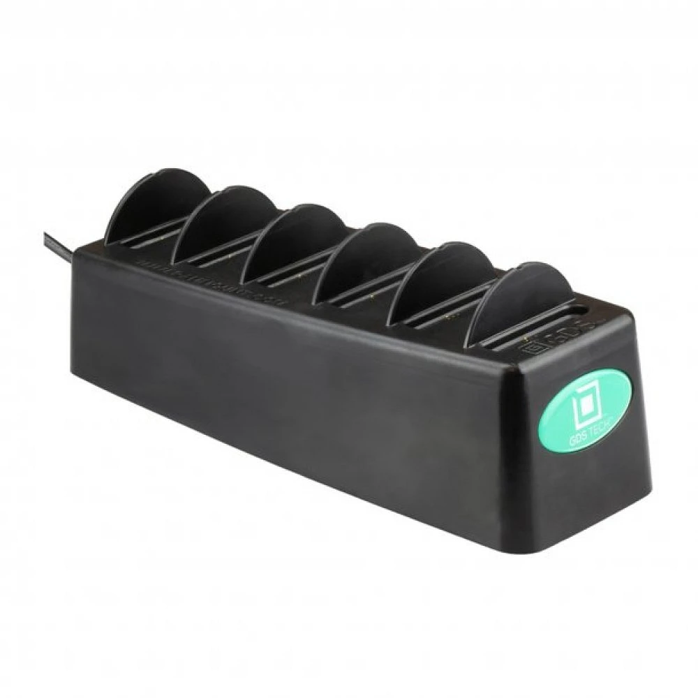 RAM GDS 6-Port Desktop Charger for IntelliSkin Next Gen