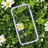 iPhone SE (2022/2020)/8 Pela Clear/Lavender Compostable Eco-Friendly Protective Case
