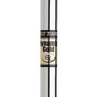 Dynamic Gold SL .370 Steel Iron Shaft