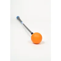 Orange Whip Swing Trainer