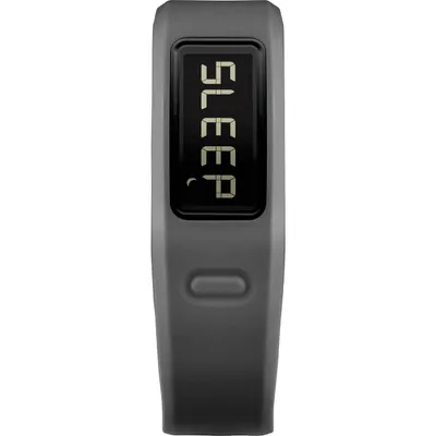 Vivofit Slate Fitness Band