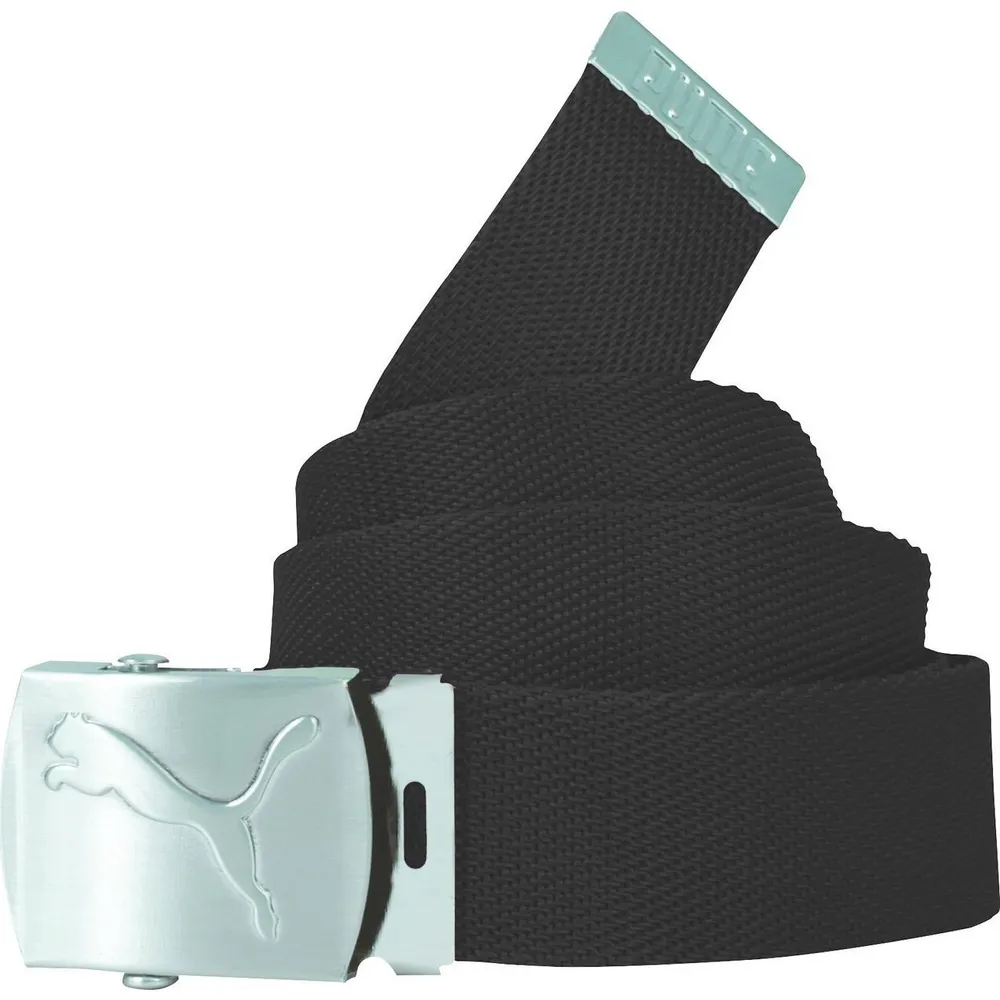 Women's Spectrum Web Belt