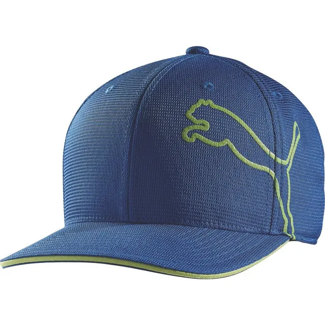 Men's Sun Fish Snapback Cap