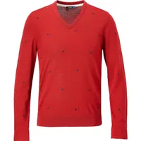 Men's Allover Long Sleeve V-Neck Sweater