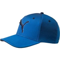 Junior's Gotime Cap