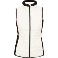 Women's Icy Vest