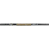 Dynamic Gold Tour Issue 120 .355 Taper Tip Steel Iron Shaft