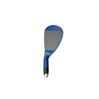 S18 Blue Ion Wedge with Steel Shaft