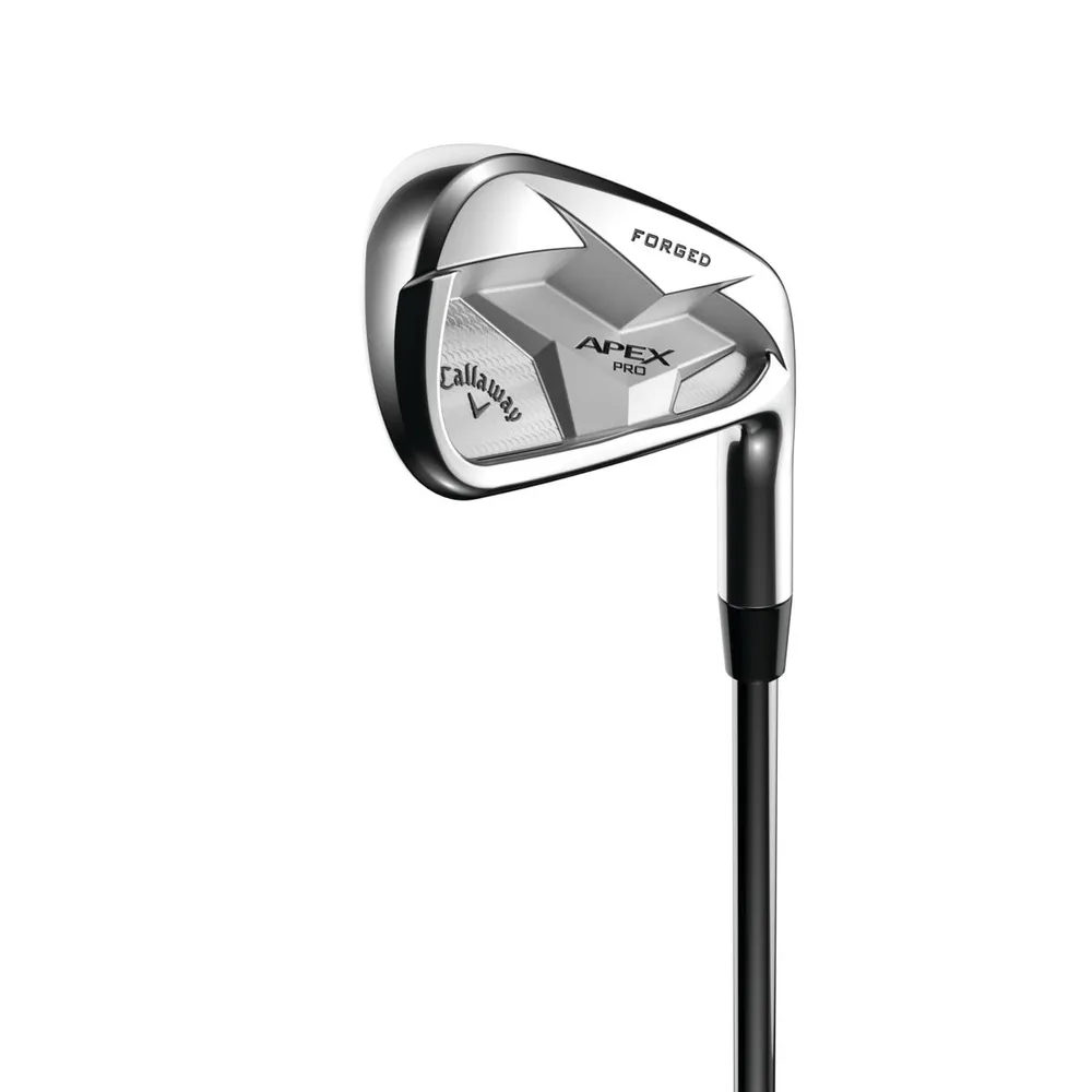 Apex Pro 19 4-PW Iron Set with Steel Shafts