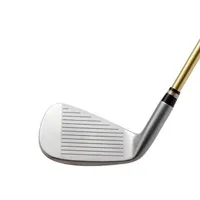 Beres Star SW Iron with Graphite Shaft