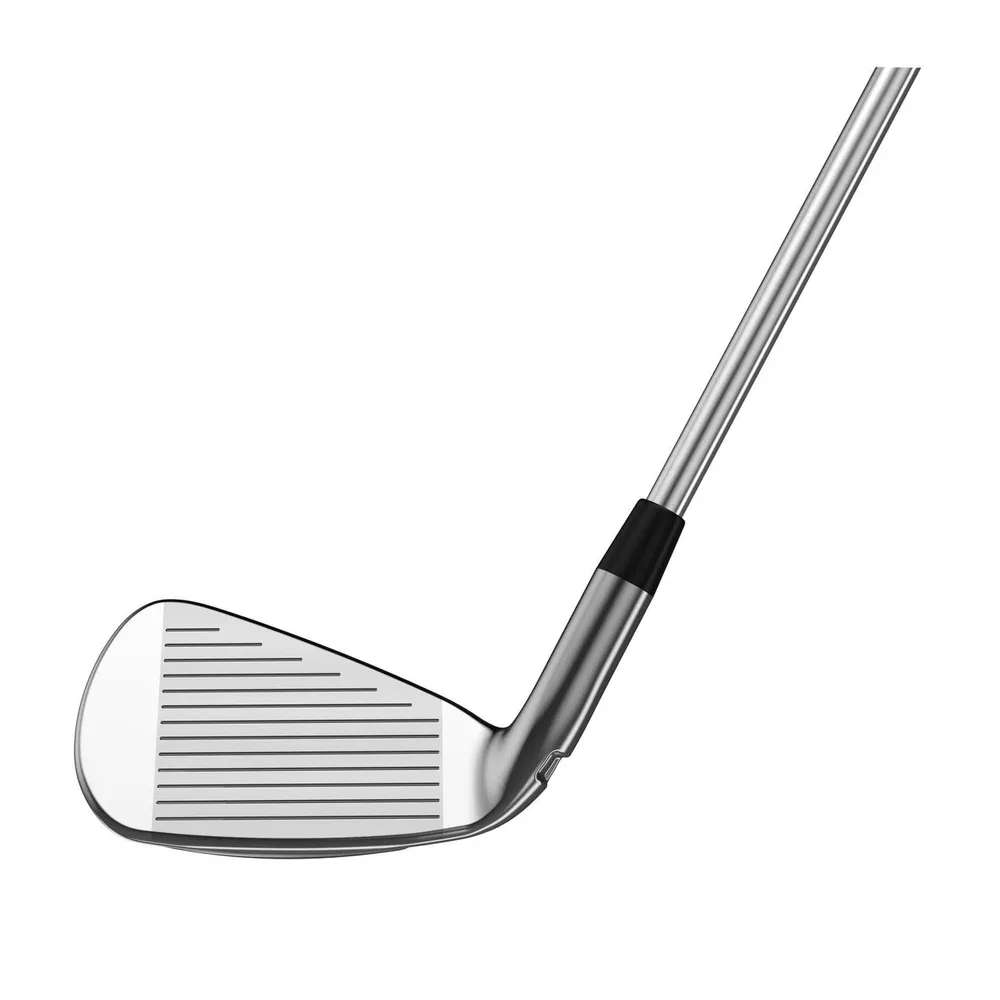 Exotics EXS 220 5-PW Iron Set with Steel Shafts